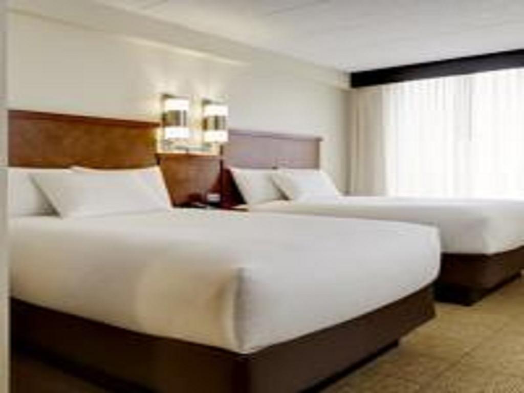 Kamer met 2 tweepersoonsbedden en een slaapbank