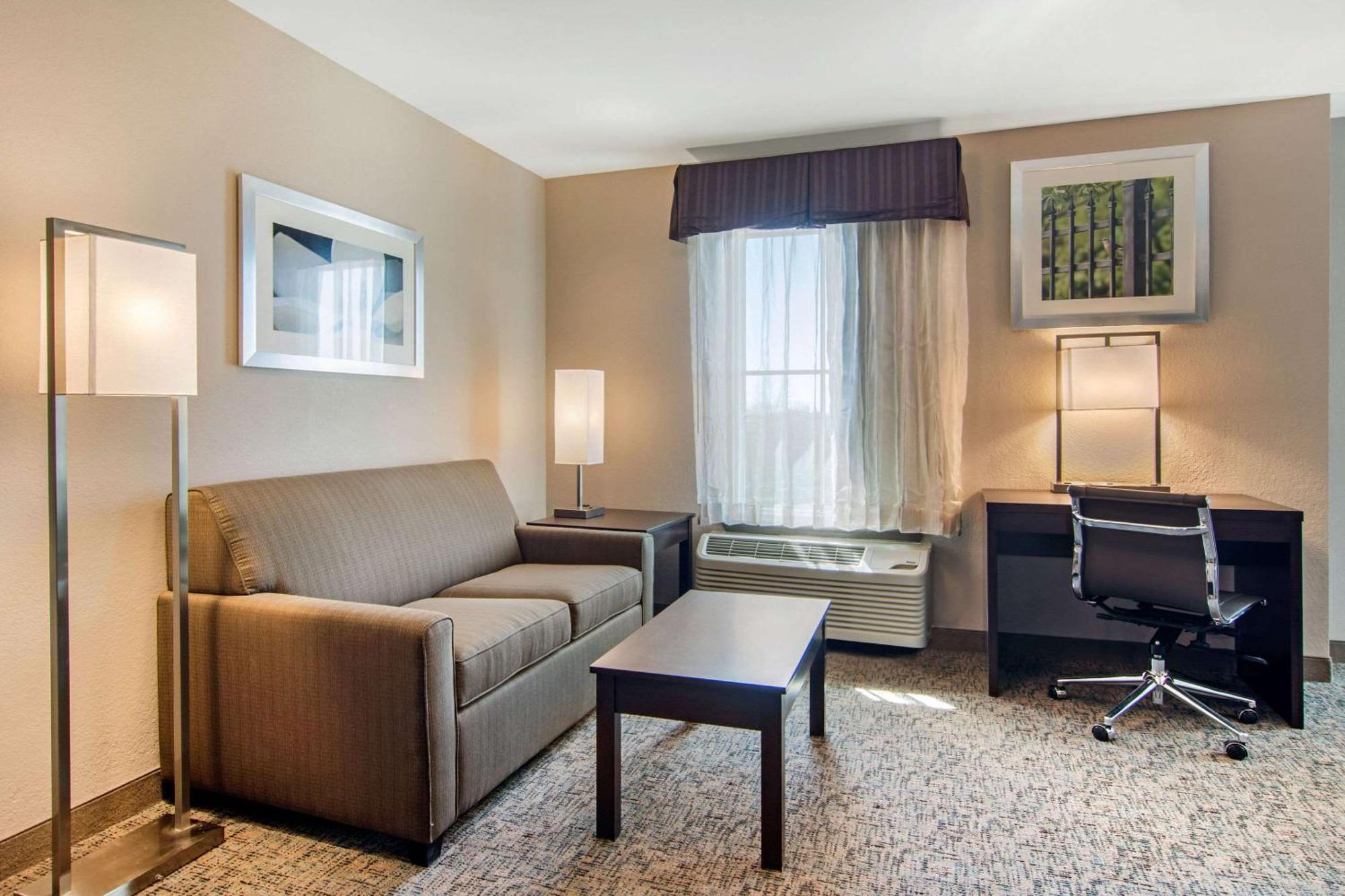 King Suite Sofa Bed Non-Smoking