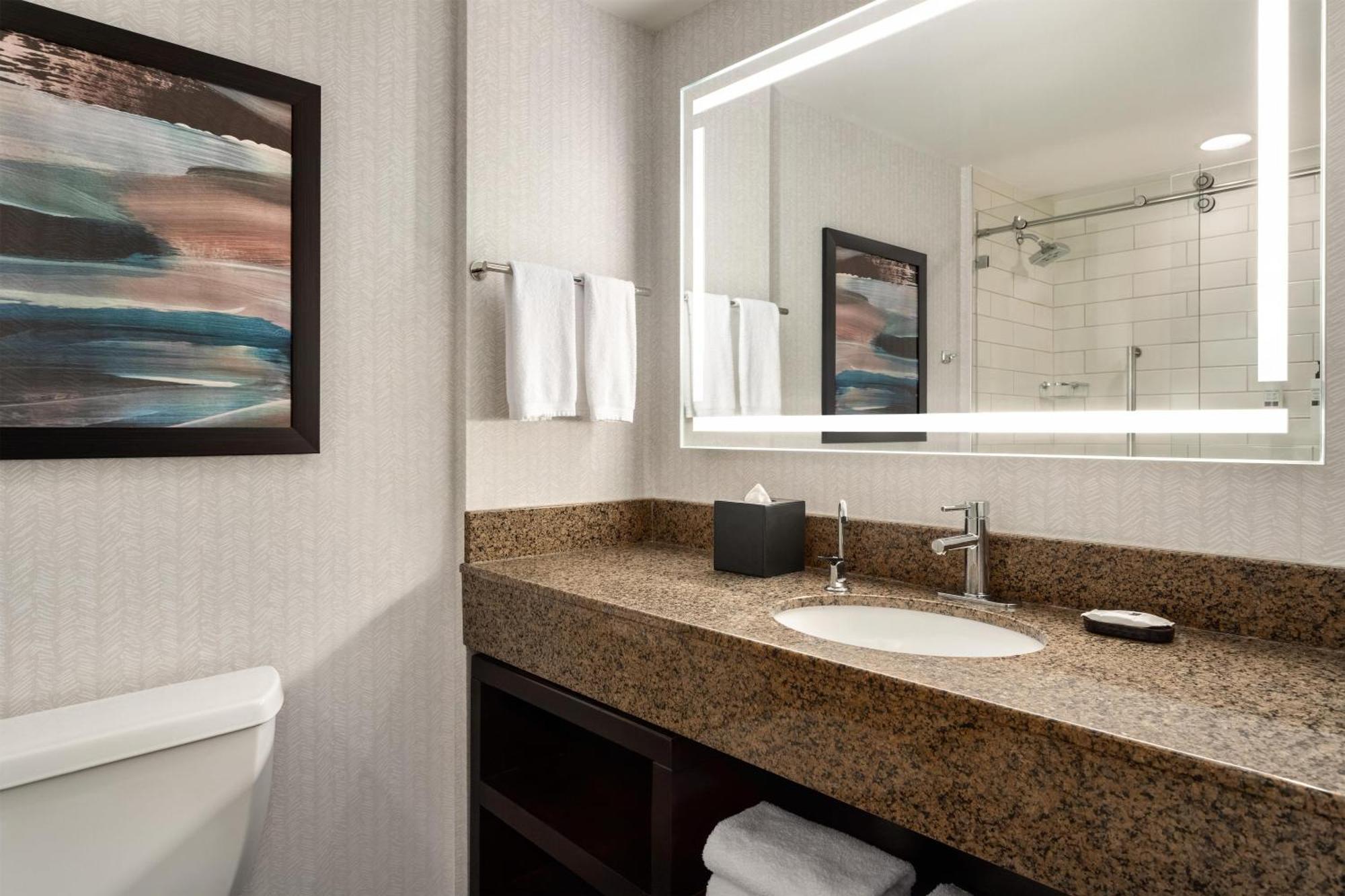 King Suite Park or City View