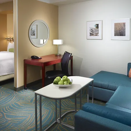 Springhill Suites By Marriott Atlanta Buckhead-3